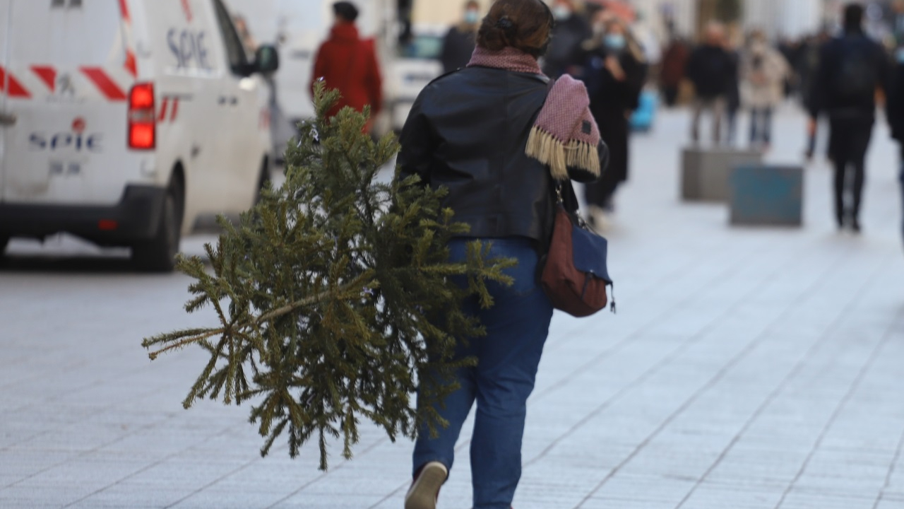 Lyon déposez votre sapin de Noël en point de collecte