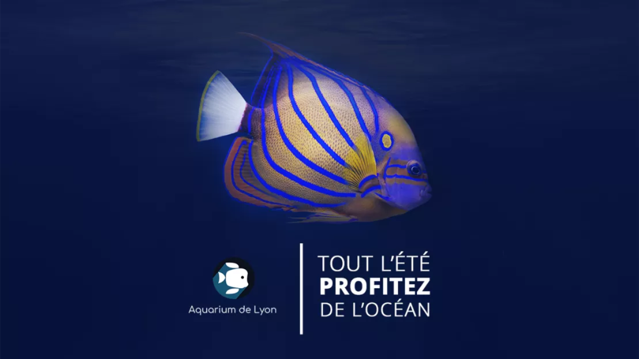 Bon Plan Radio Espace - Du 5 au 7 juillet - Le monde de Dory à l'Aquarium de Lyon