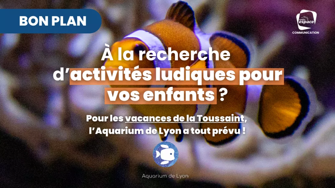 A la recherche d’activités ludiques pour vos enfants ? L’Aquarium de Lyon a un océan d’idées à vous proposer !