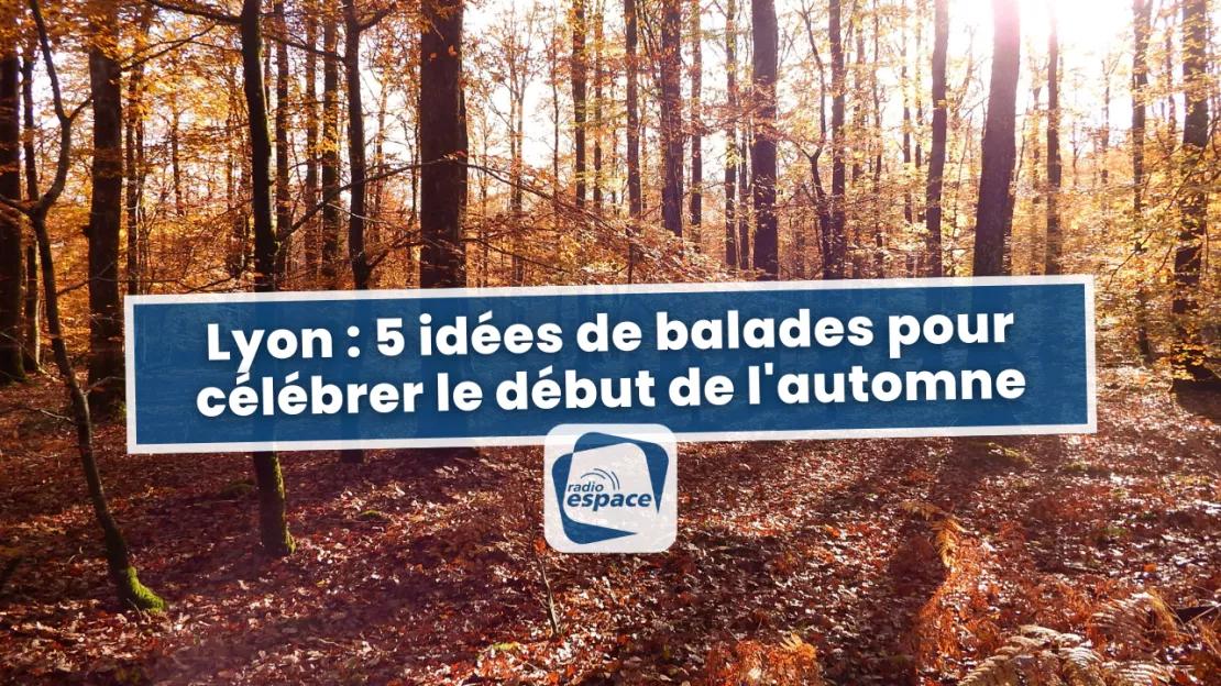 5 idées de balades pour célébrer le début de l'automne