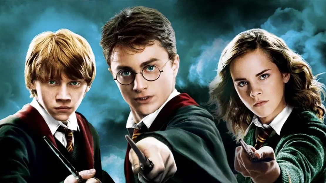 La Nuit des Livres Harry Potter 2025 : quand la magie s'empare de Lyon !