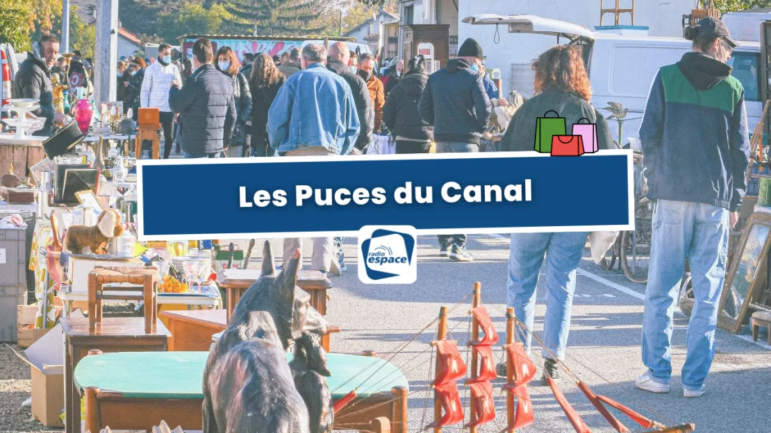 Les Puces du Canal