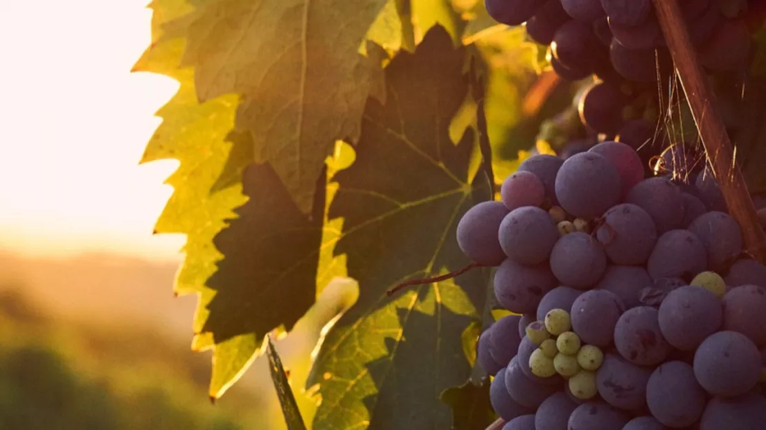 Rhône : Balade autour de la Source de Fayolles