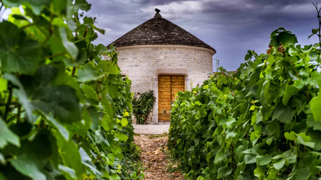 Rhône : Balade autour des Cadoles Perréonnaises