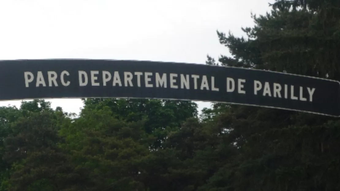 Tempête Bert : le parc de Parilly rouvre ses portes ce jeudi